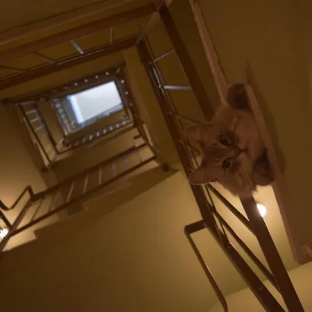 Bed & Breakfast Le Rossi Bed 3*