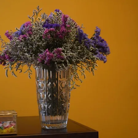 Le Rossi Bed 3* Cesena