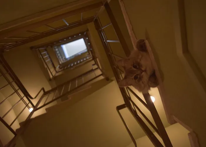 Bed & Breakfast Le Rossi Bed 3*